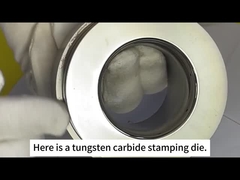 Zhuzhou Sanxin Cemented Carbide - cetakan